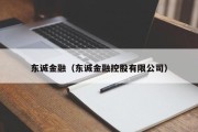 东诚金融（东诚金融控股有限公司）