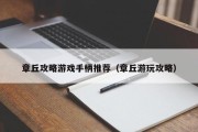 章丘攻略游戏手柄推荐（章丘游玩攻略）
