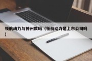 领航动力与神州数码（领航动力是上市公司吗）