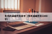 冬天的温暖作文高中（冬天温暖作文1000字）