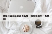 黑龙江舜天新能源怎么样（哪里能弄到一万块钱）