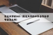 东北大学的985（东北大学的中外合作办学专业怎么样）