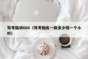 驾考陪训666（驾考陪练一般多少钱一个小时）