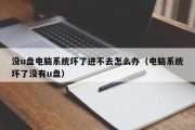 没u盘电脑系统坏了进不去怎么办（电脑系统坏了没有u盘）