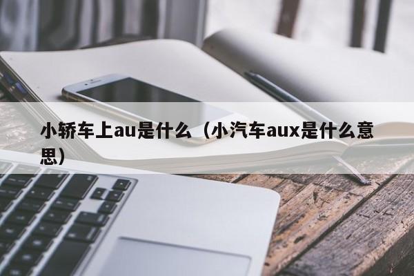 小轿车上au是什么(小汽车aux是什么意思)